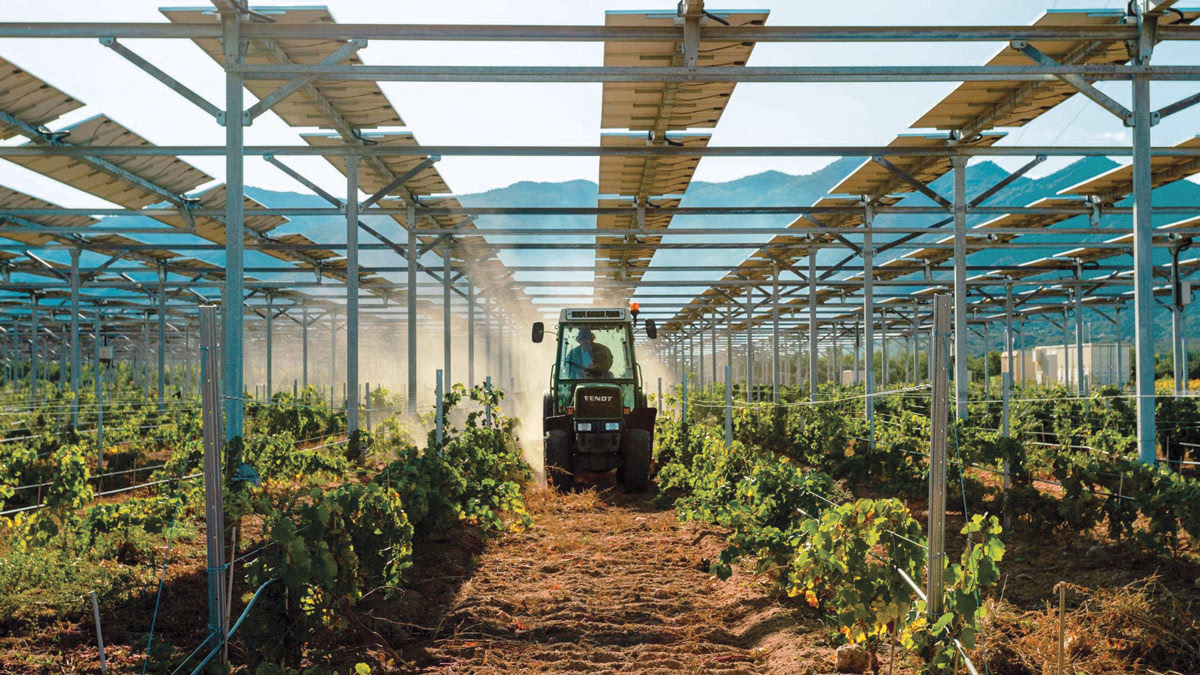 Solar-Powered Agriculture Solutions